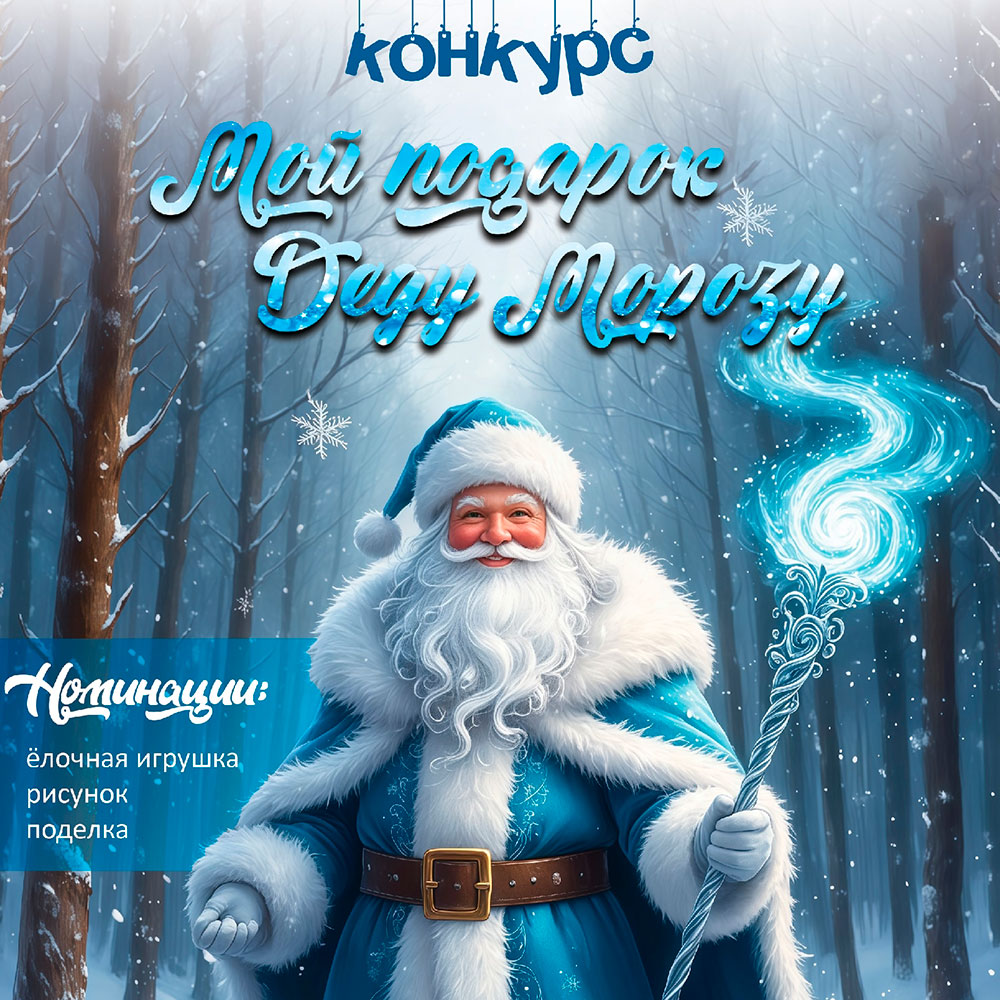 Мой подарок Деду Морозу