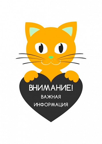 График работы кассы