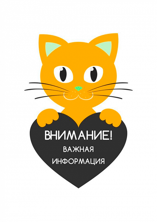 График работы кассы