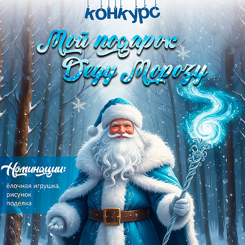Мой подарок Деду Морозу 2025